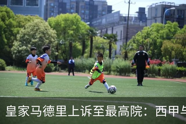 皇家马德里上诉至最高院：西甲与私募资本交易的世纪博弈