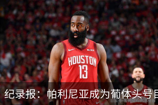 纪录报：帕利尼亚成为葡体头号目标，希望在新赛季开始前敲定交易