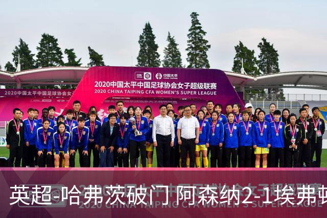 英超-哈弗茨破门 阿森纳2-1埃弗顿屈居亚军