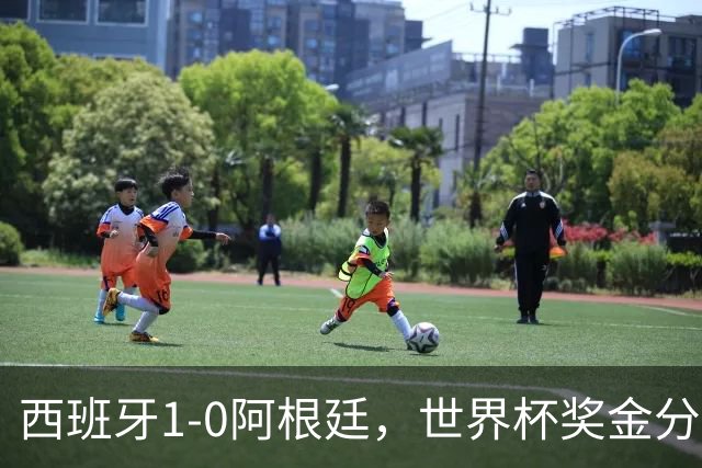 西班牙1-0阿根廷，世界杯奖金分配出炉：总额49亿破纪录 冠军3.4亿