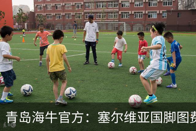 青岛海牛官方：塞尔维亚国脚图费格季奇加盟球队