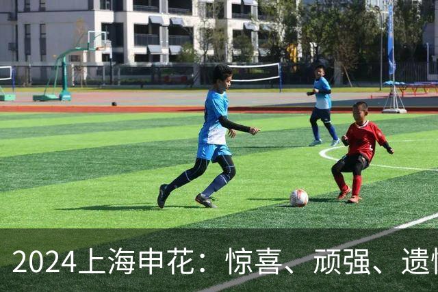 2024上海申花：惊喜、顽强、遗憾--明年拿冠军