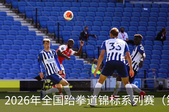 2026年全国跆拳道锦标系列赛（第二站）在广州举行